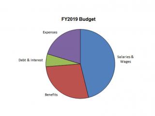 Financial Overview FY19 Budget by expense type